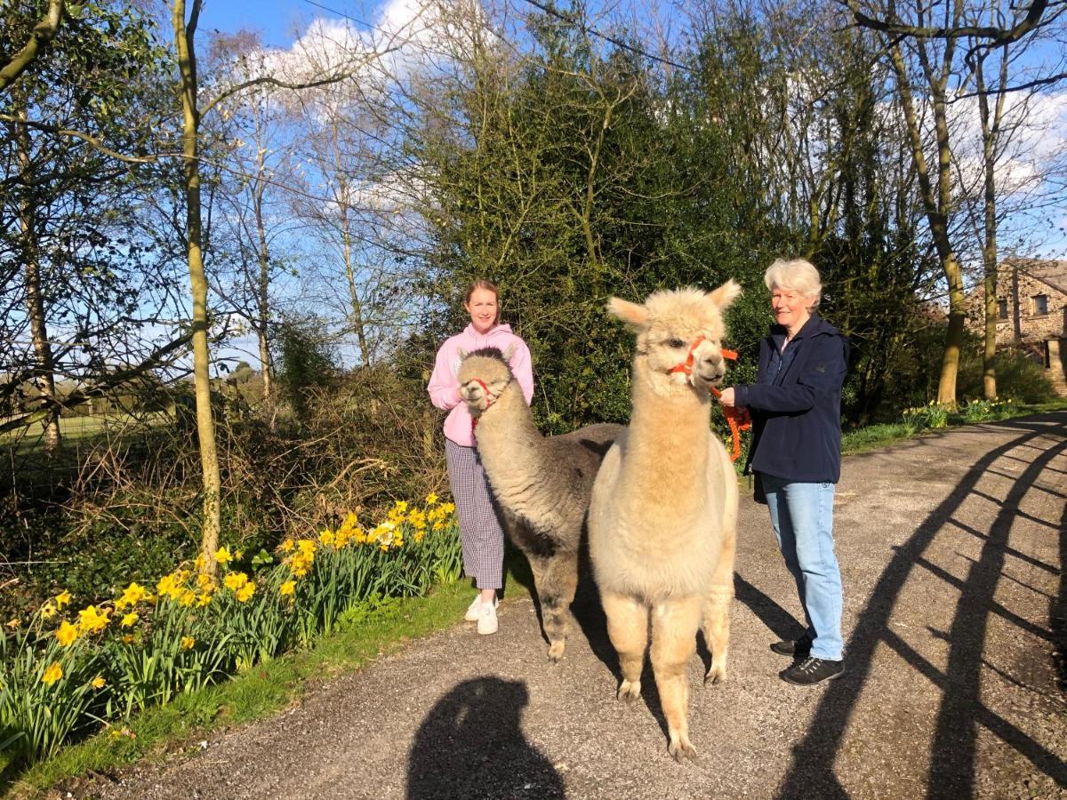 Alpaca Fold Villa Preston  Bagian luar foto